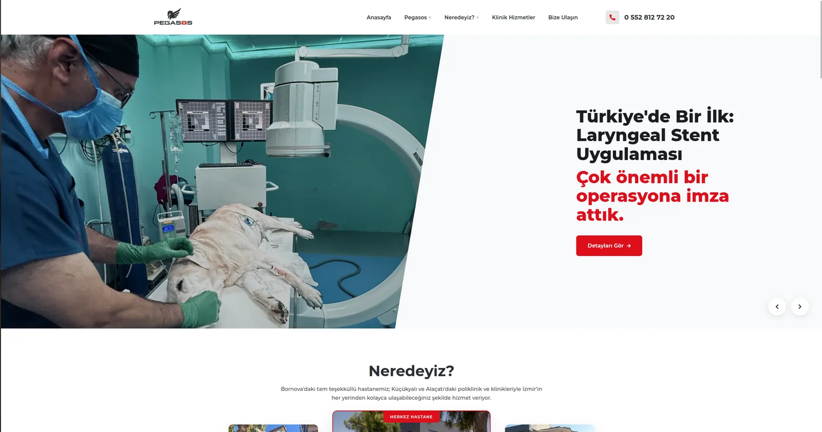 Home — the hero slider, prerendered for search engines